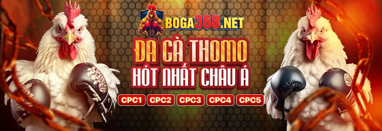 Hình ảnh chính bom88 chính thức