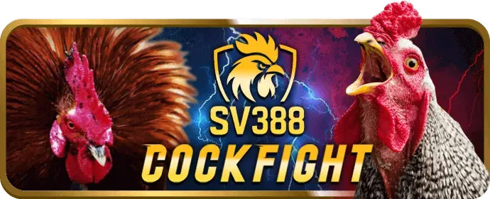 Dịch Vụ Khách Hàng bom88 chính thức